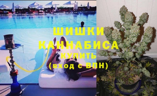 Альфа ПВП Аркадак
