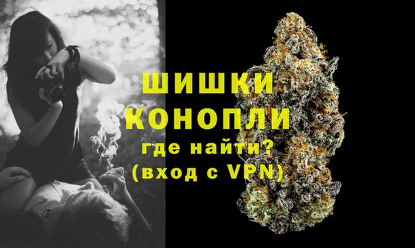 трава Алзамай