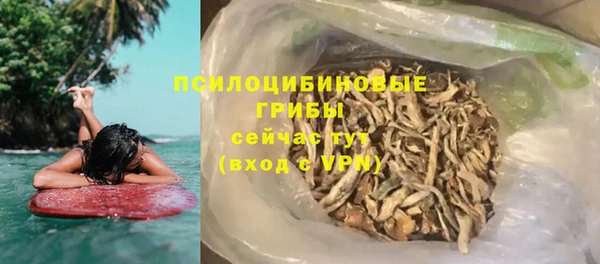 дживик Алексин
